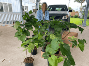 Ed with Lots of Plants Kavahana