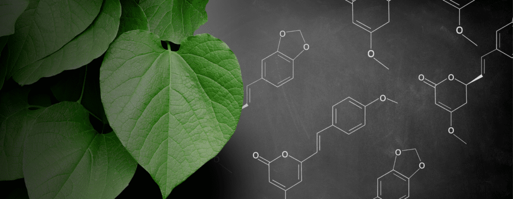 Kavalactone Chemical Structure with Kava Leaf Kavahana Kavahana