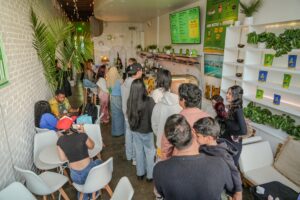 Kavahana santa monica kava nectar bar interior >thisisjustarandomplaceholder<kavahana Three Colorful Kava Nectar Drinks from Kavahana Displayed on a Table Against a White Brick Wall Each Drink is Topped with a live Tingly Garnish Showcasing Kavahanas Signature Handcrafted Kava Nectar Flavors One Pink with Rose Petals One Golden Yellow and One Creamy with Layered Tones